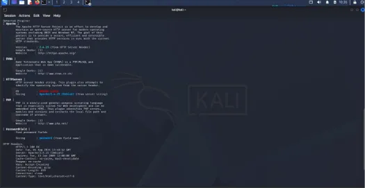 Terminal output identifying the web server software and headers